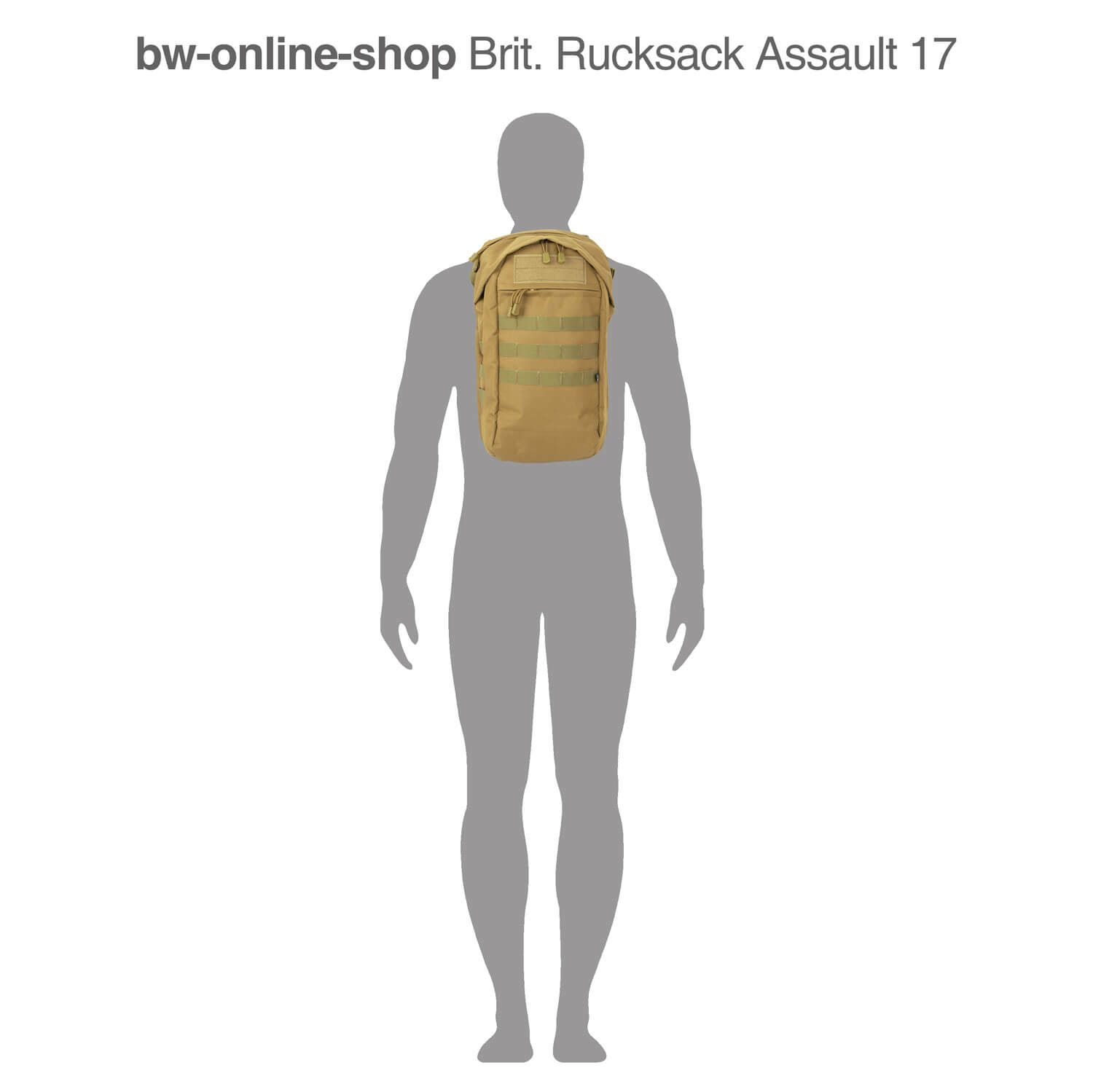 Brit. Rucksack Assault 17