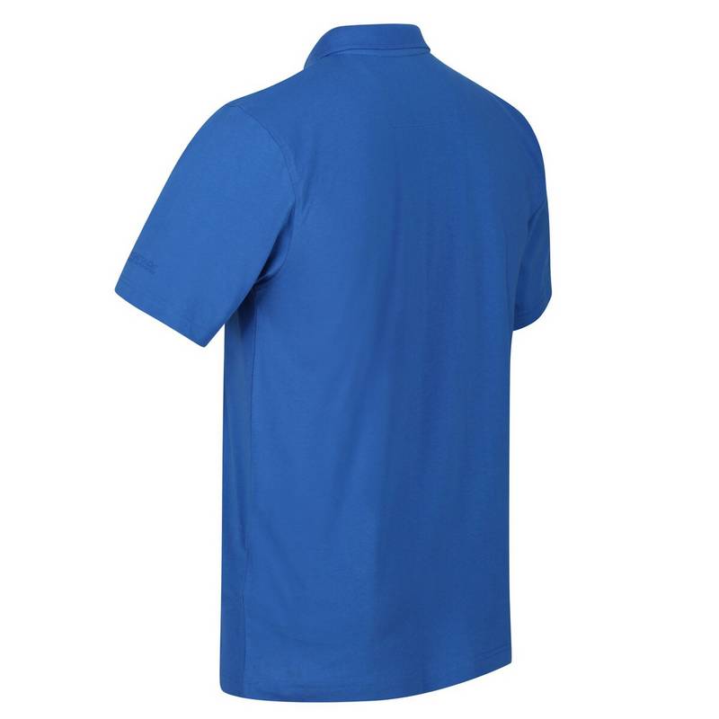 Regatta Sinton Poloshirt Herren