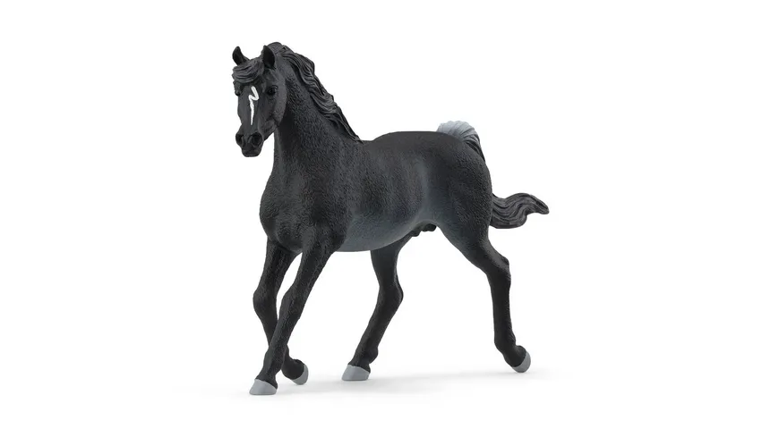 Schleich 13981 - Horse Club - Araber Hengst