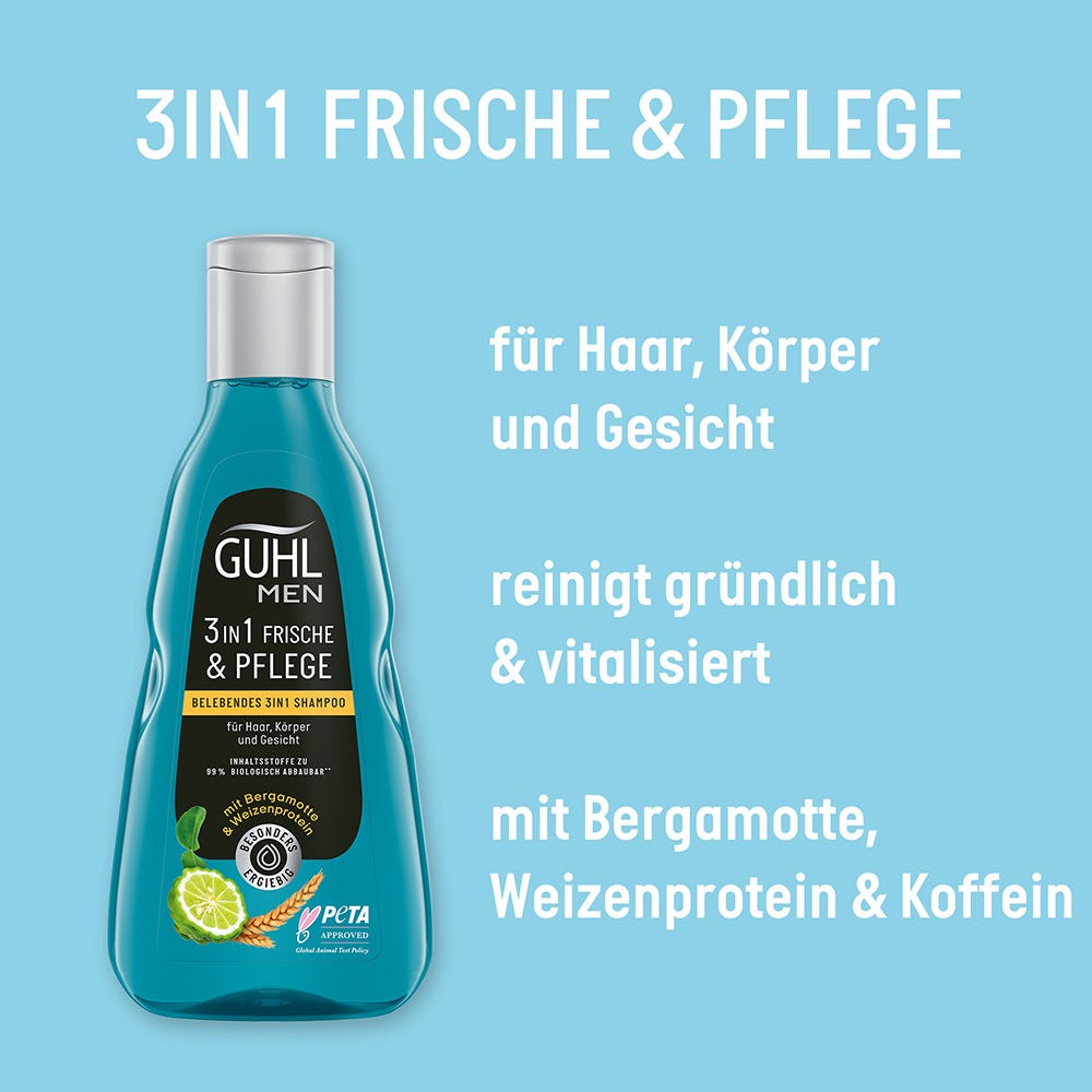 Guhl MEN Frische & Pflege Belebendes 3in1 Shampoo 250 ml