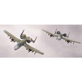A-10 Warthog Fighter Flight (2)