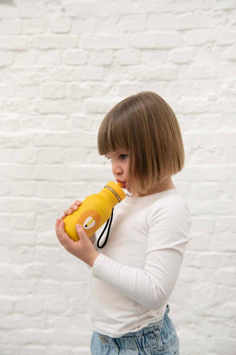 Trixie  Gourde 350ml - Mr. Lion - Jaune