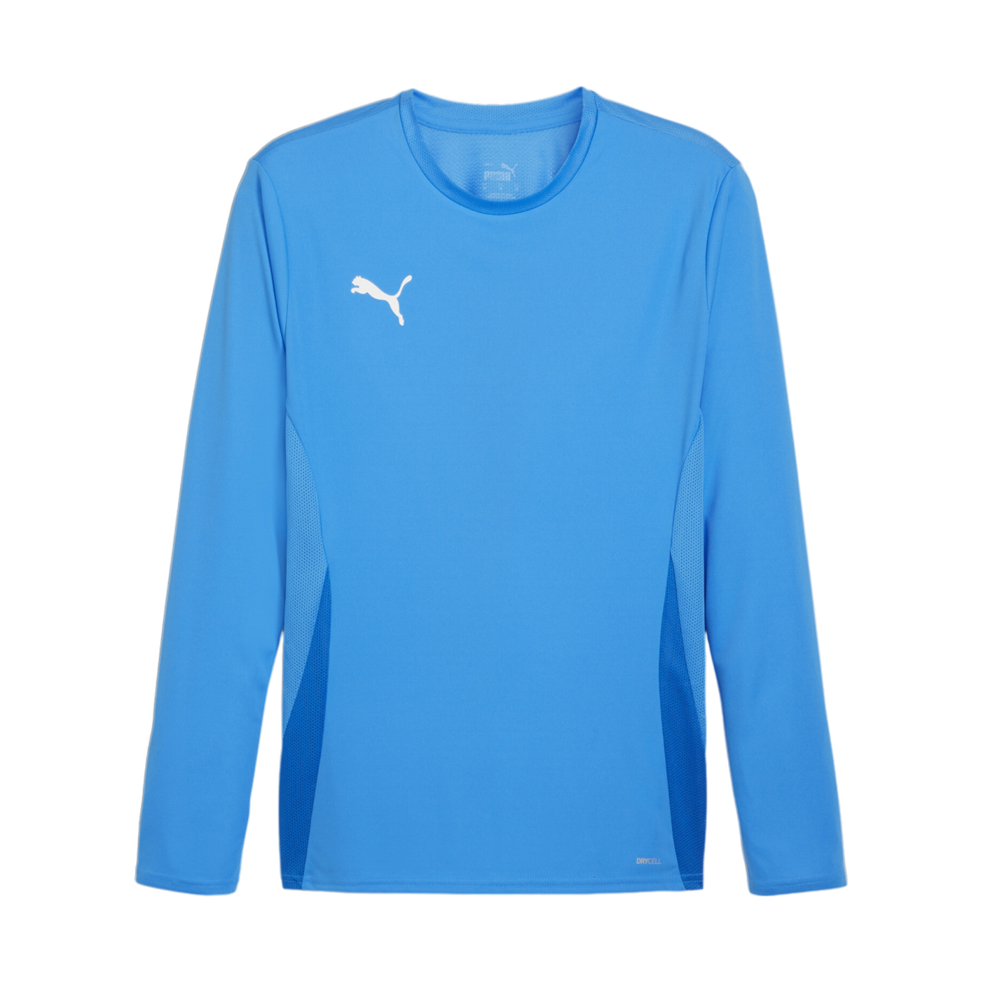 PUMA teamGOAL Trikot Langarm Blau Weiss F02
