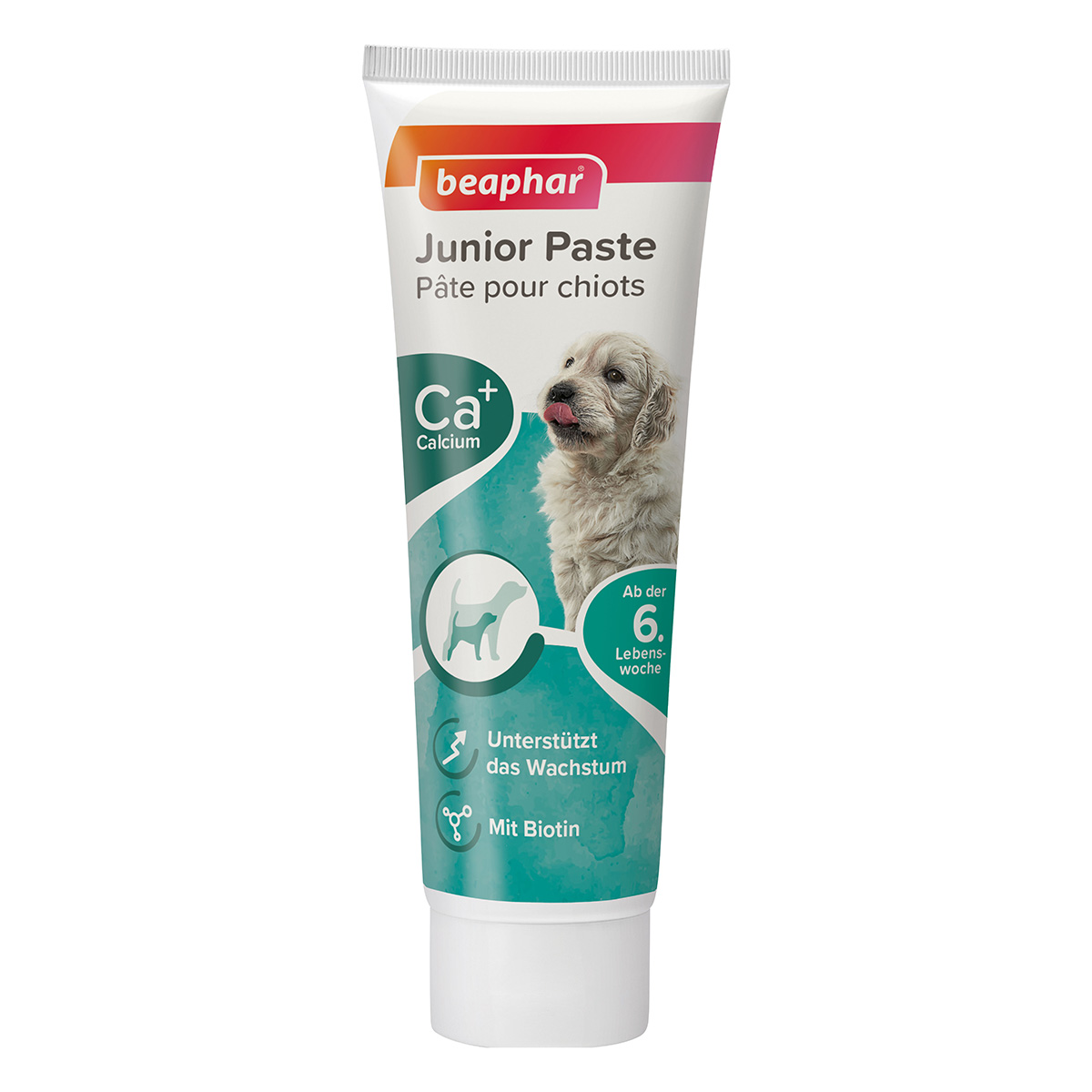 beaphar Junior-Paste für Hunde 100g günstig kaufen bei ZooRoyal