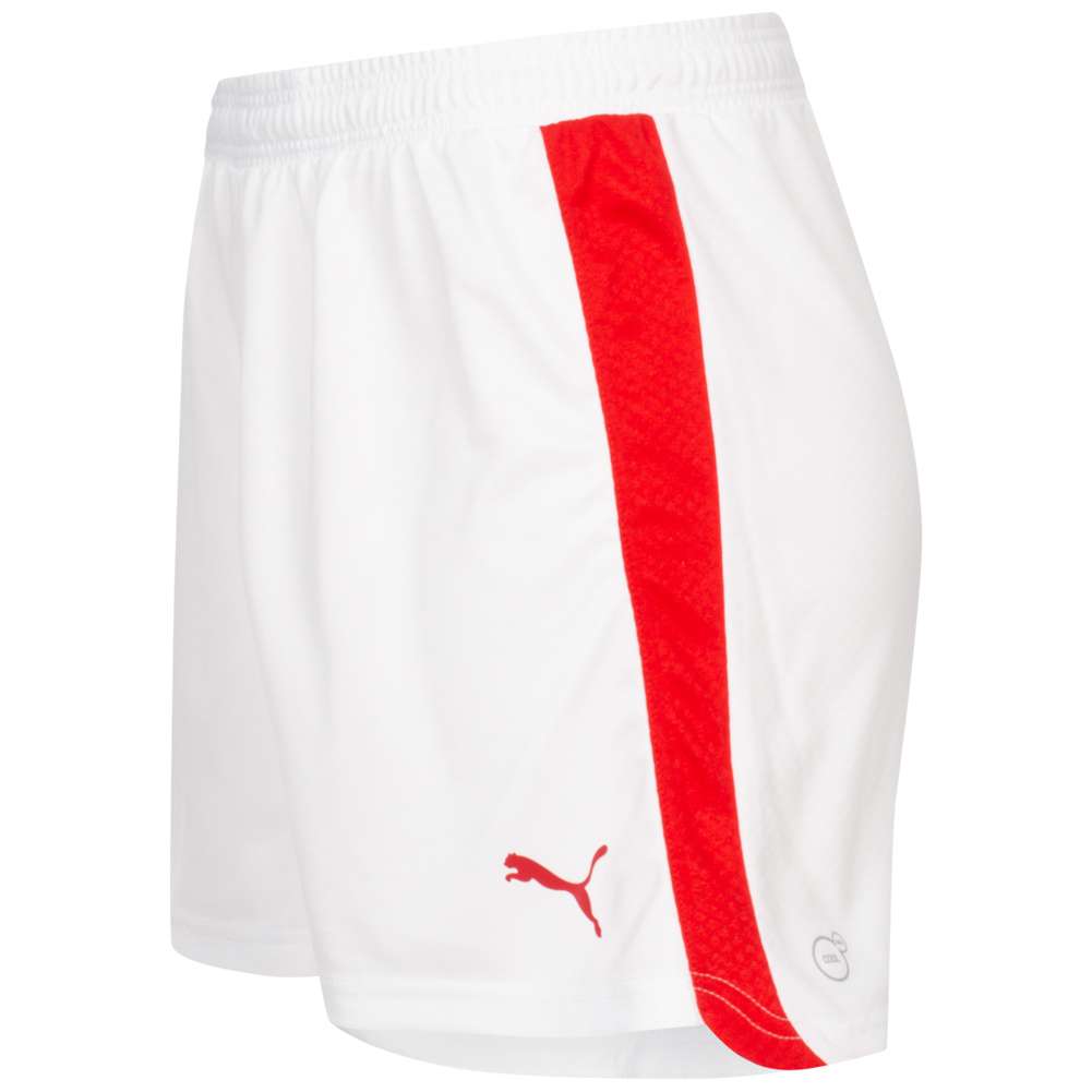 Dänemark PUMA Damen Heim Handball Shorts 744032-02