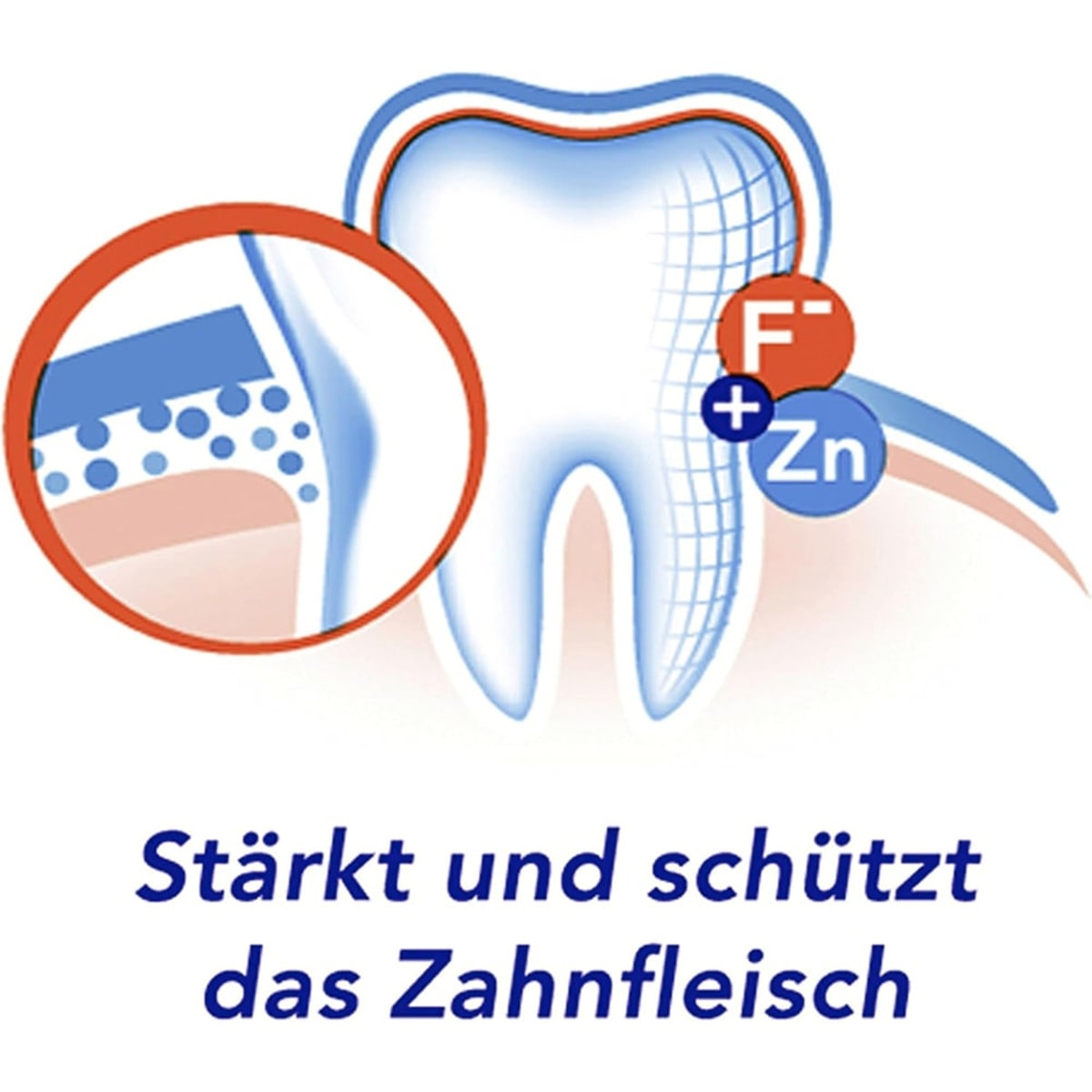 Zahnpasta Zahnfleischschutz, 75 ml