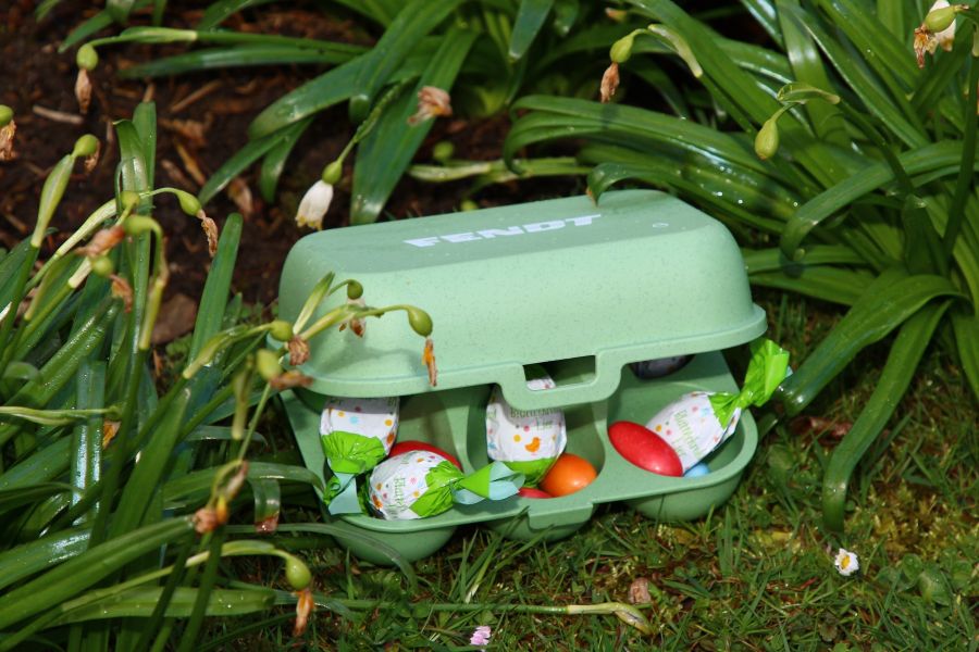 6er - Eierbox (Fendt Natural Line Kollektion)