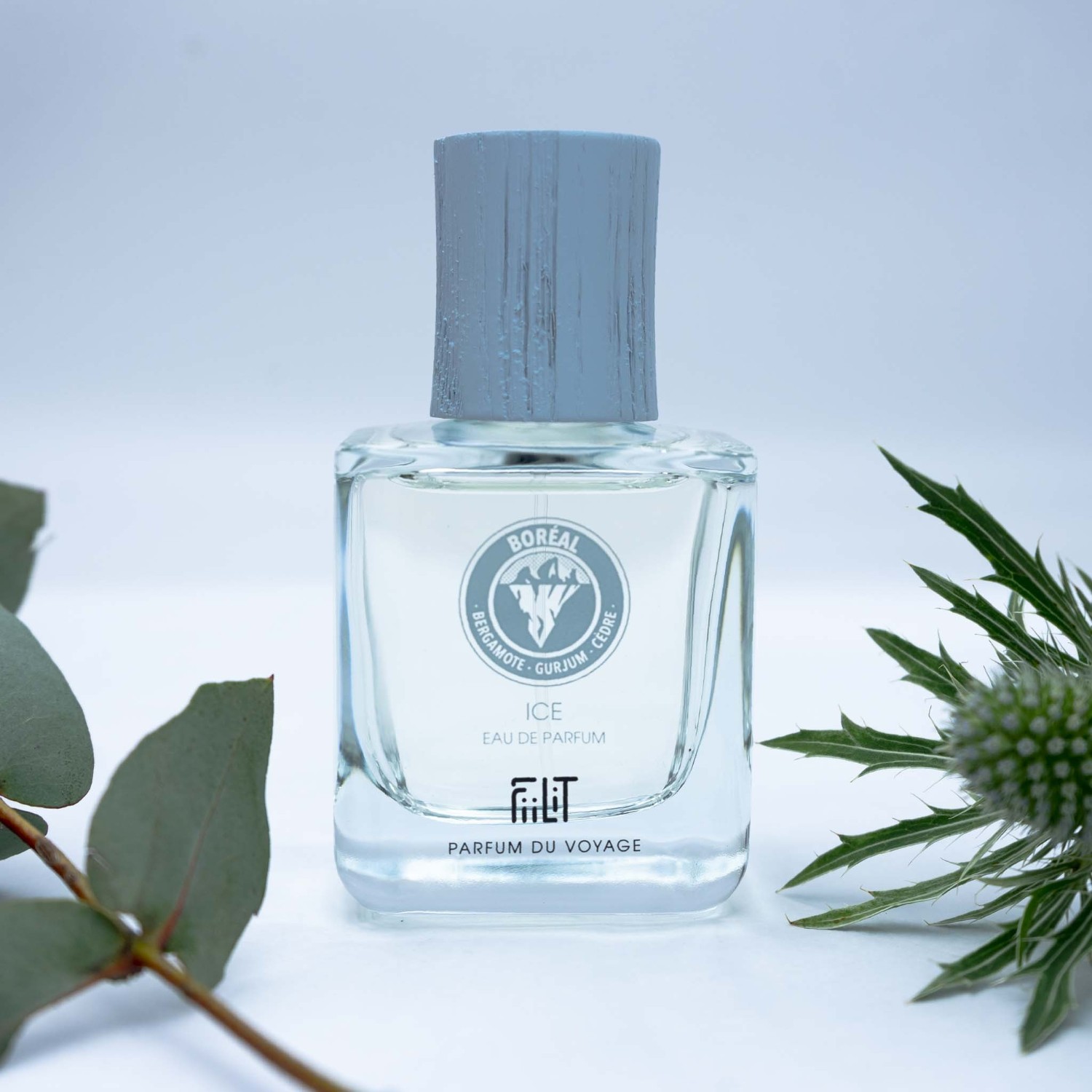 FiiLiT ICE - BOREALE
