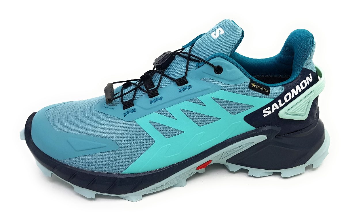 Salomon Supercross 4 GTX W L47316900 Blau Dustur/Indink