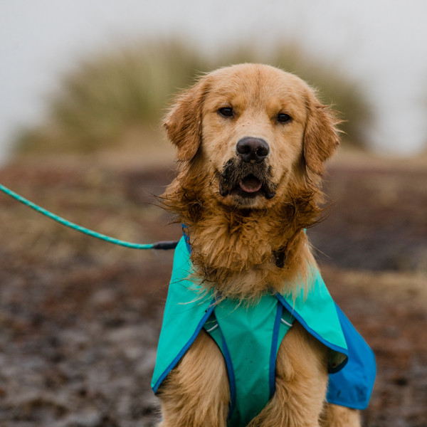 SUN SHOWER JACKET - Hundezubehör