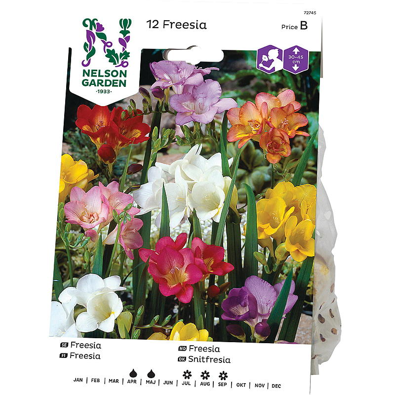 Nelson garden Freesia Enkel, blandede farger