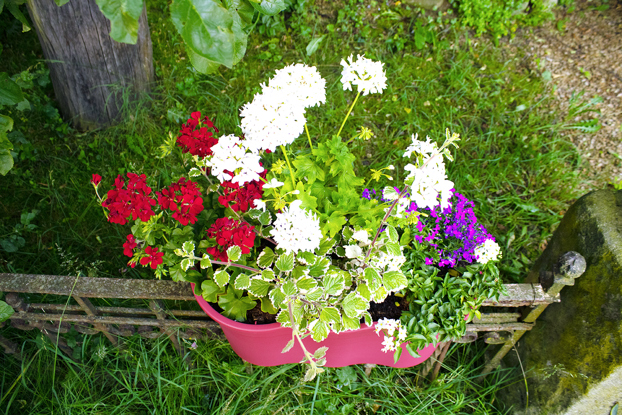 KHW KHW Geländerblumentopf Flowerclip XL, 2er Set, beere