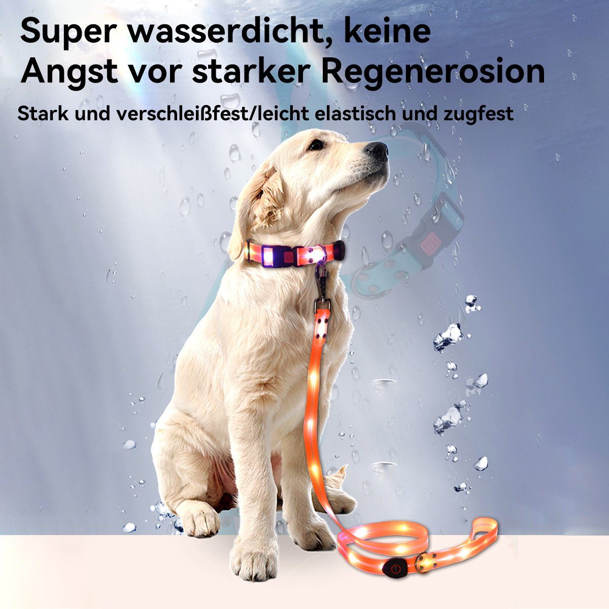 Welikera Führleine Halsband,Led-Leine, USB stark und verschleißfest Wasserdicht