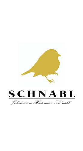 2022 Weinviertel DAC trocken - Weingut Andreas Schnabl