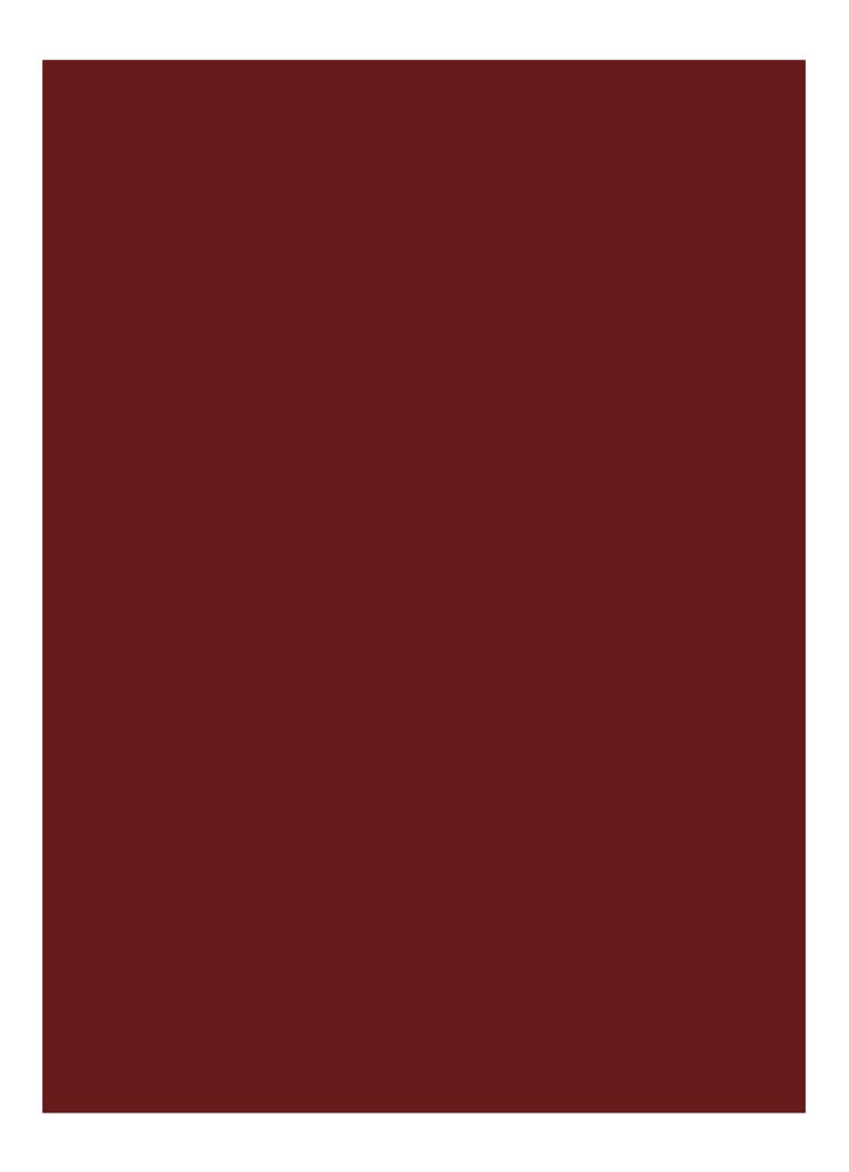 Bobbi Brown Luxe -huulipuna