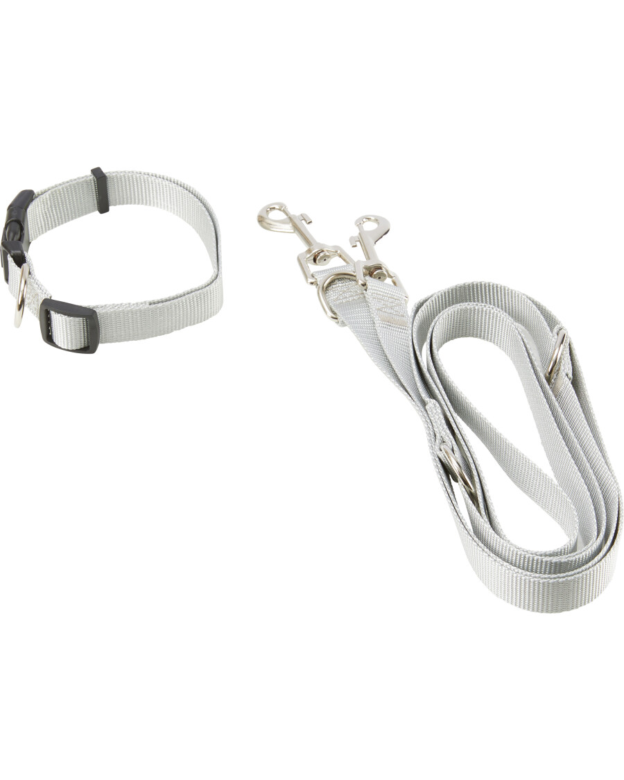 Hundeleine + Hundehalsband