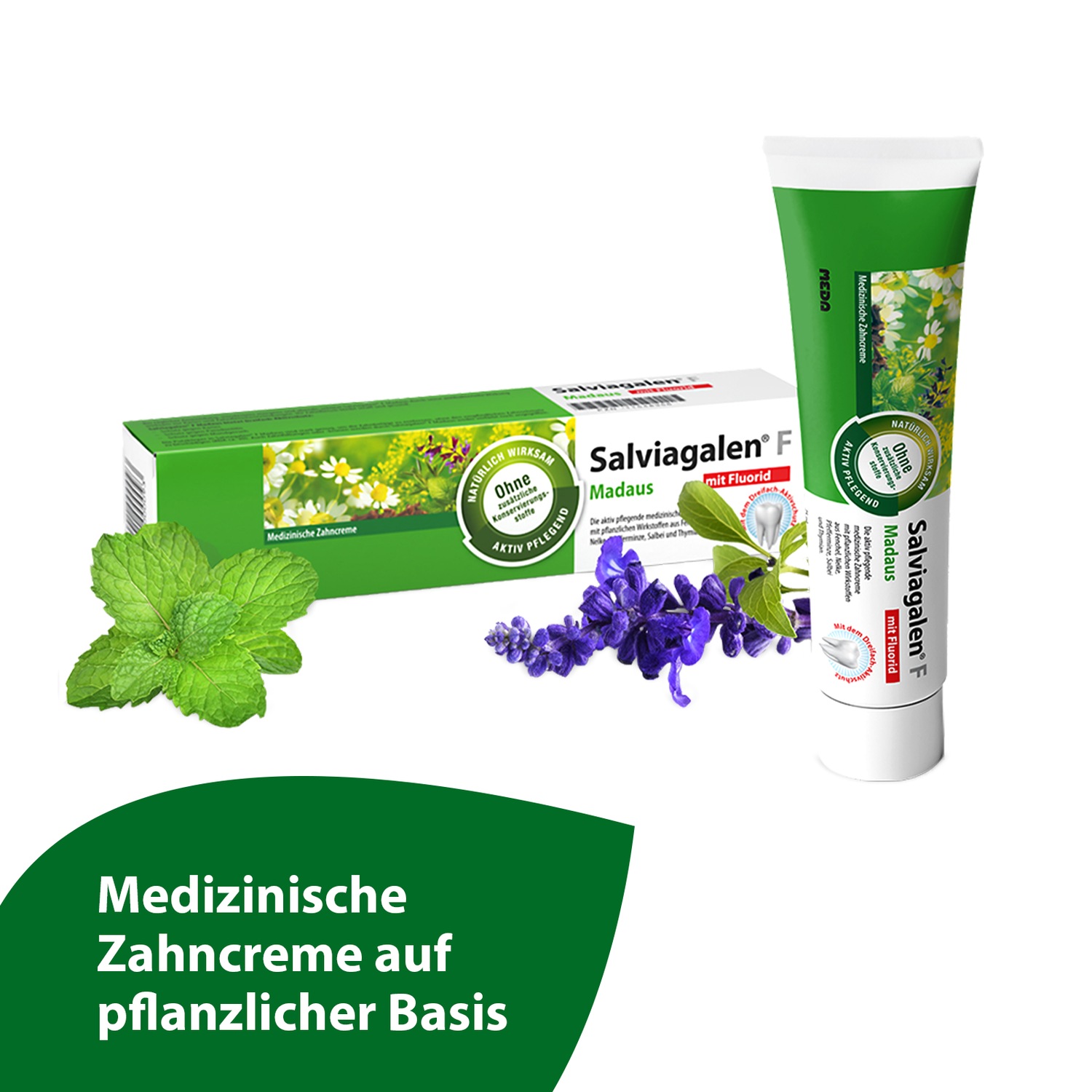 SALVIAGALEN F Madaus Zahncreme