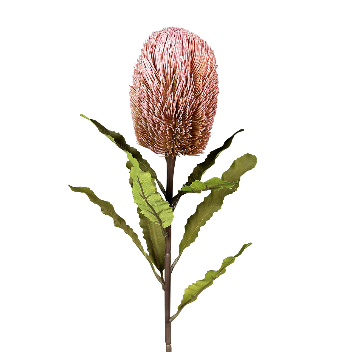 DPIProtea 65cm