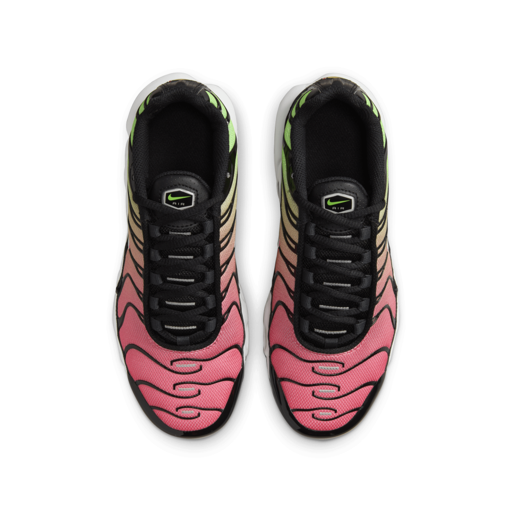 Nike Air Max Plus CD0609-010 / bunt