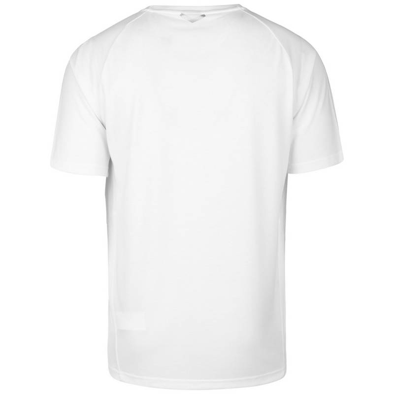 PUMA TeamFINAL Casuals Funktionsshirt Herren