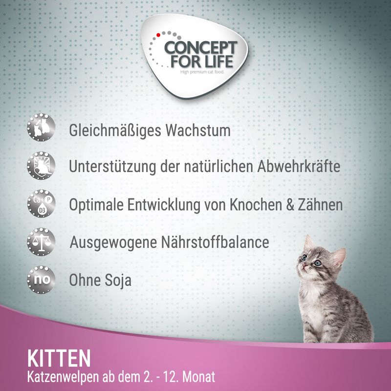 Concept for Life Kitten - in Gelee zu TOP-Preisen