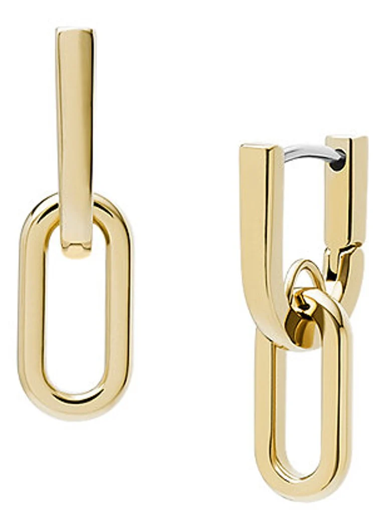 Fossil Heritage earrings JF04780710