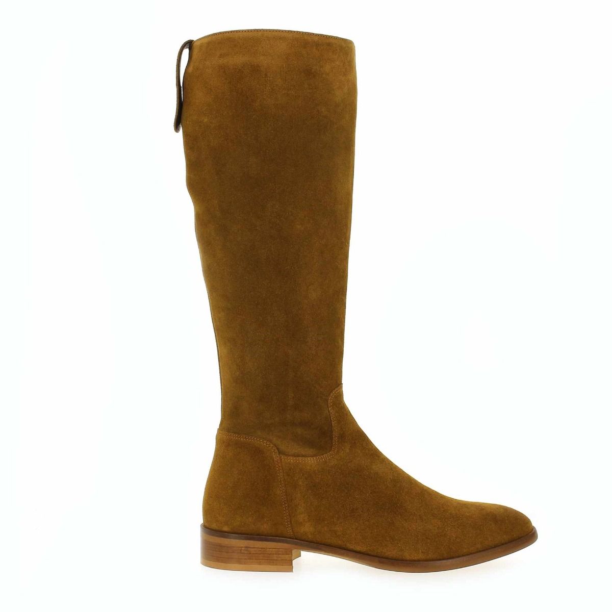 Janie Philip  DANAIDES - Camel