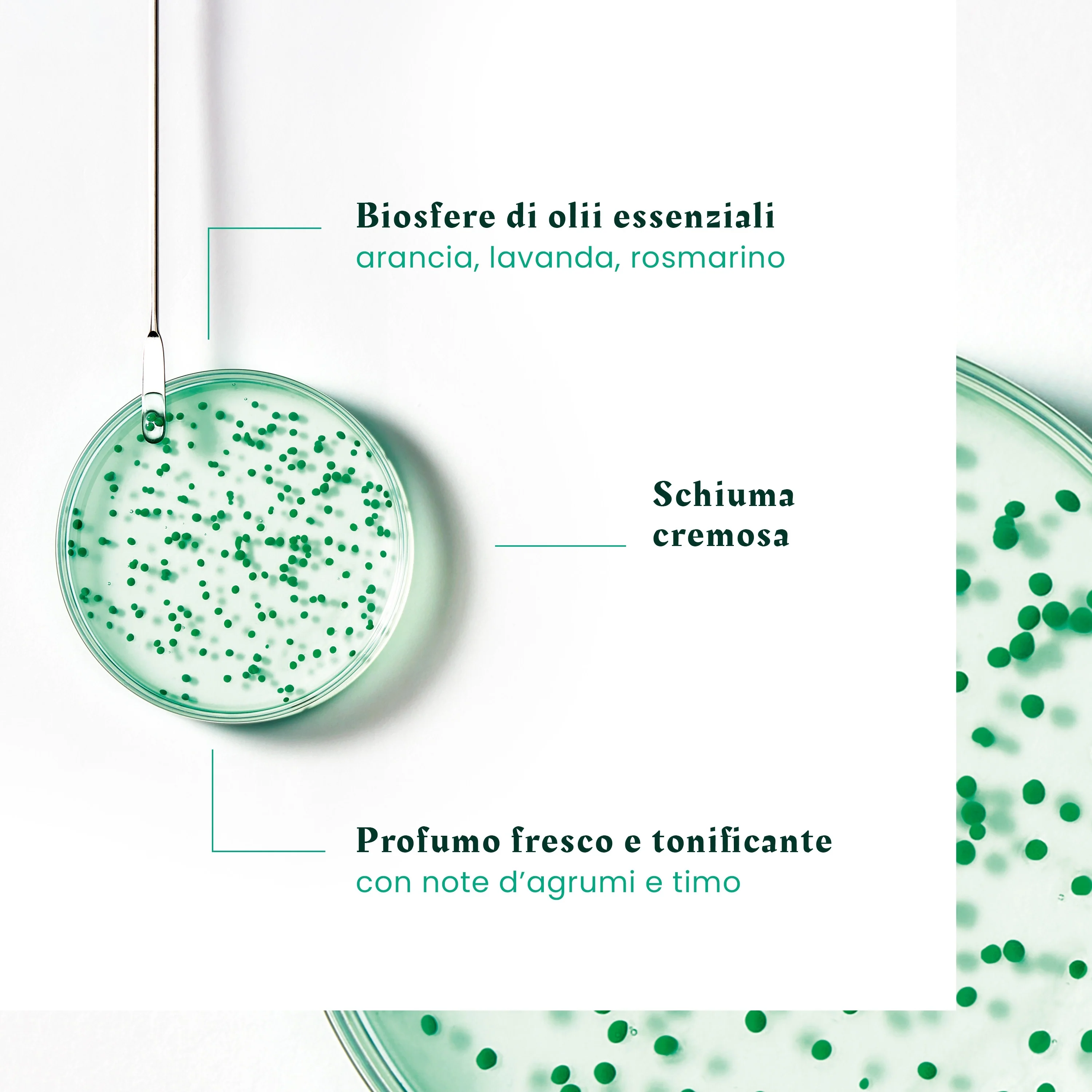 Forticea Shampooing Fortifiant Revitalisant - Shampoo Rinforzante, Shampoo Uso Frequente
