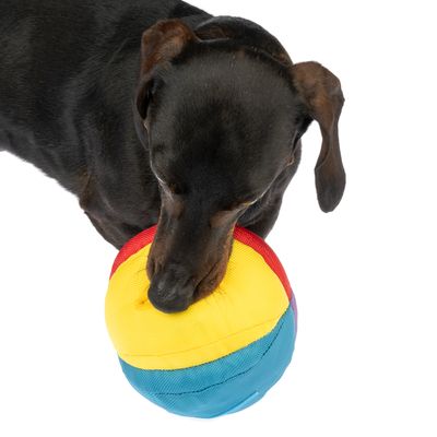 TIAKI Snackball Regenbogen