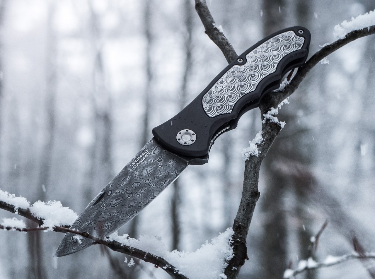 Leopard-Damast III 42 Collection