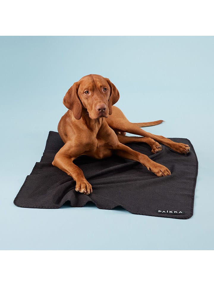 Paikka Recovery-Hundedecke in Schwarz günstig kaufen 70x100 cm