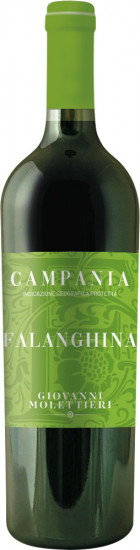 2022 Falanghina Campania IGP trocken - Giovanni Molettieri