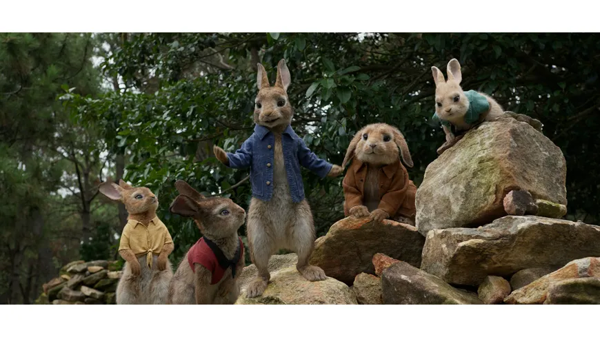 Peter Hase
