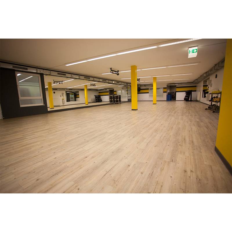 Erlebnis Fitnessfabrik Wedel Studioticket