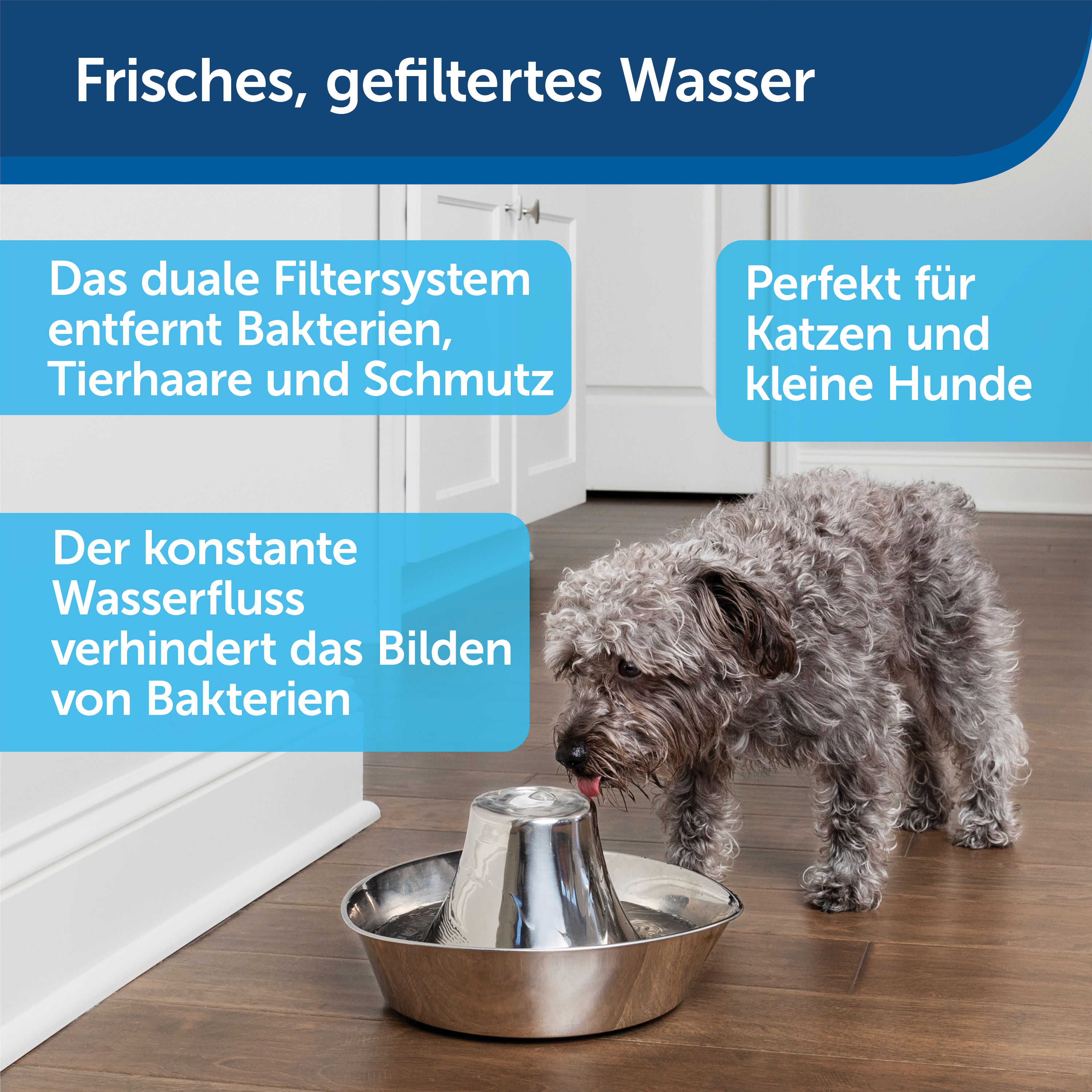 PetSafe Trinkbrunnen PetSafe Trinkbrunnen Seaside