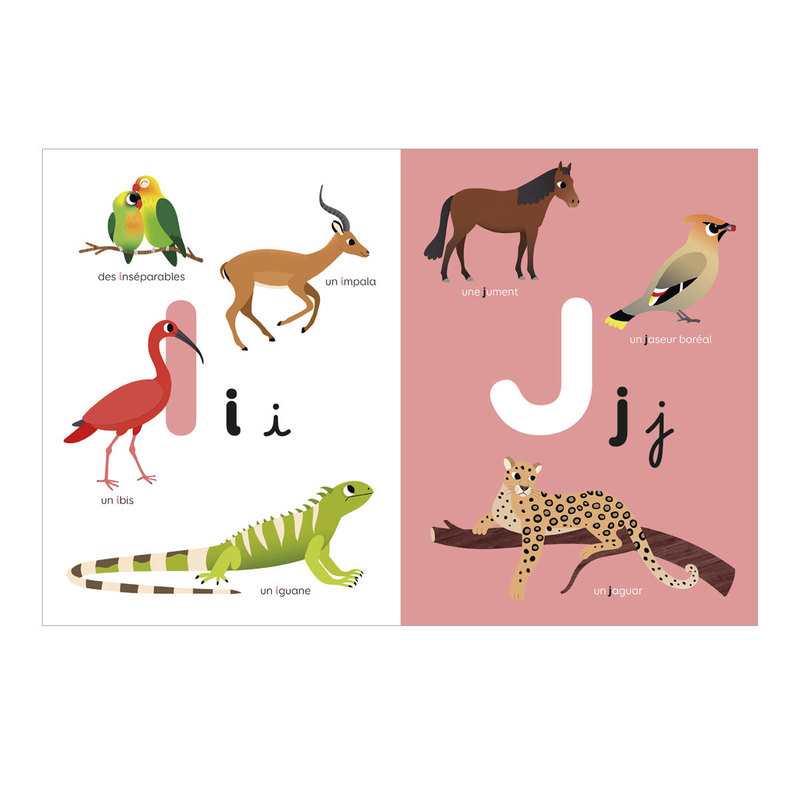 Livre L’abécédaire des animaux - Lito