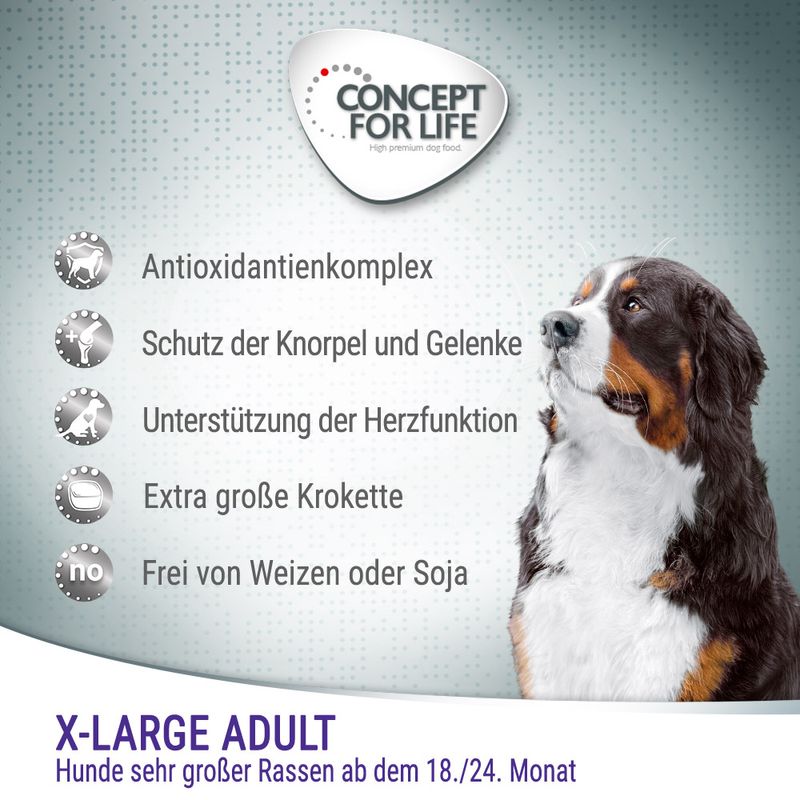 Concept for Life X-Large Adult