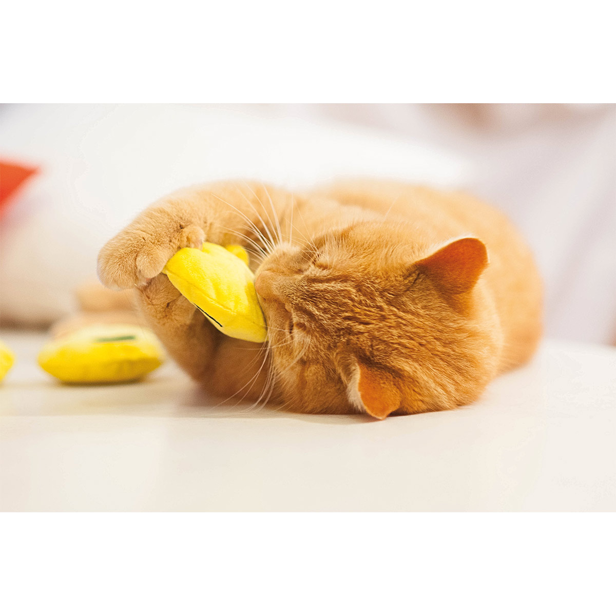 Aumüller Katzenspielkissen Emojis, 2er Set kaufen