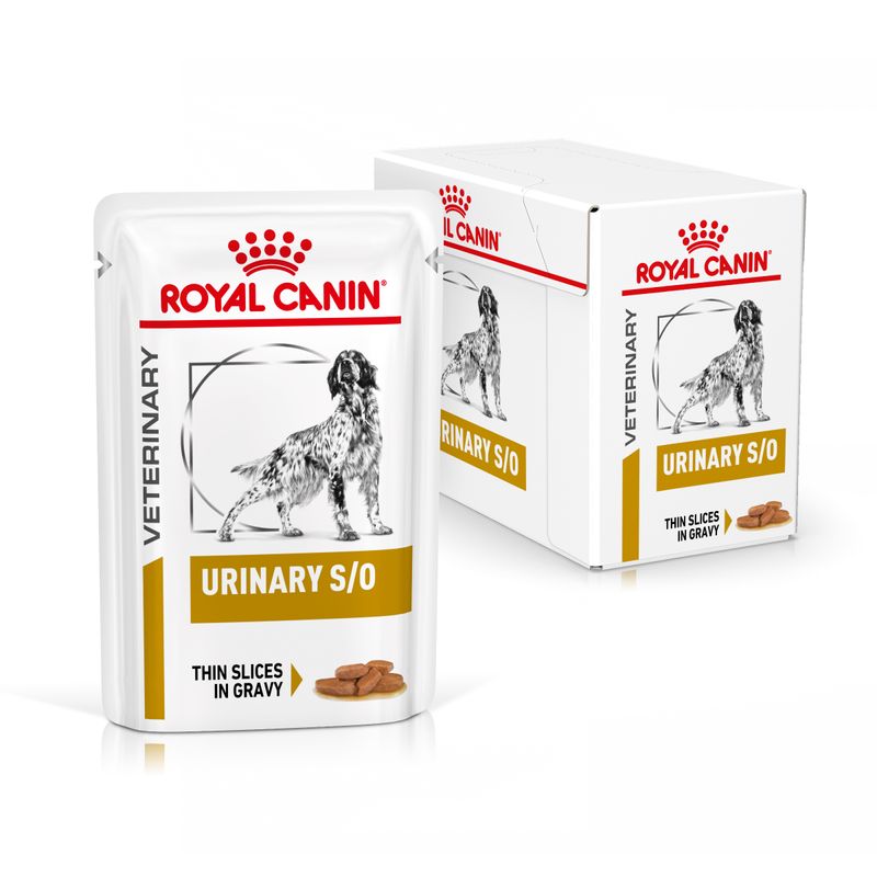 Royal Canin Veterinary Canine Urinary S/O in Soße
