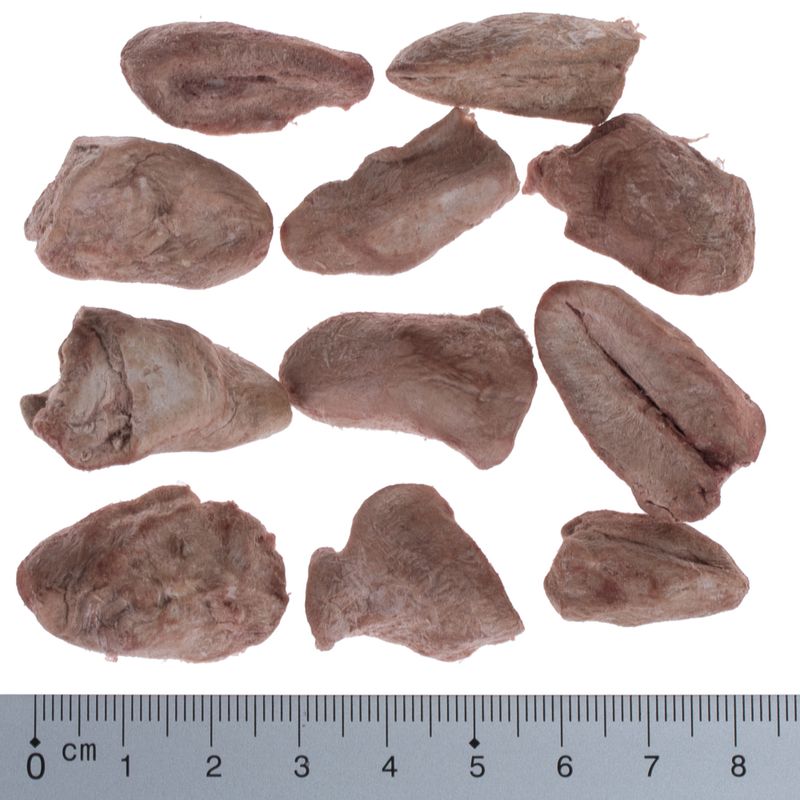 Wolf of Wilderness - RAW Snacks (gefriergetrocknet)