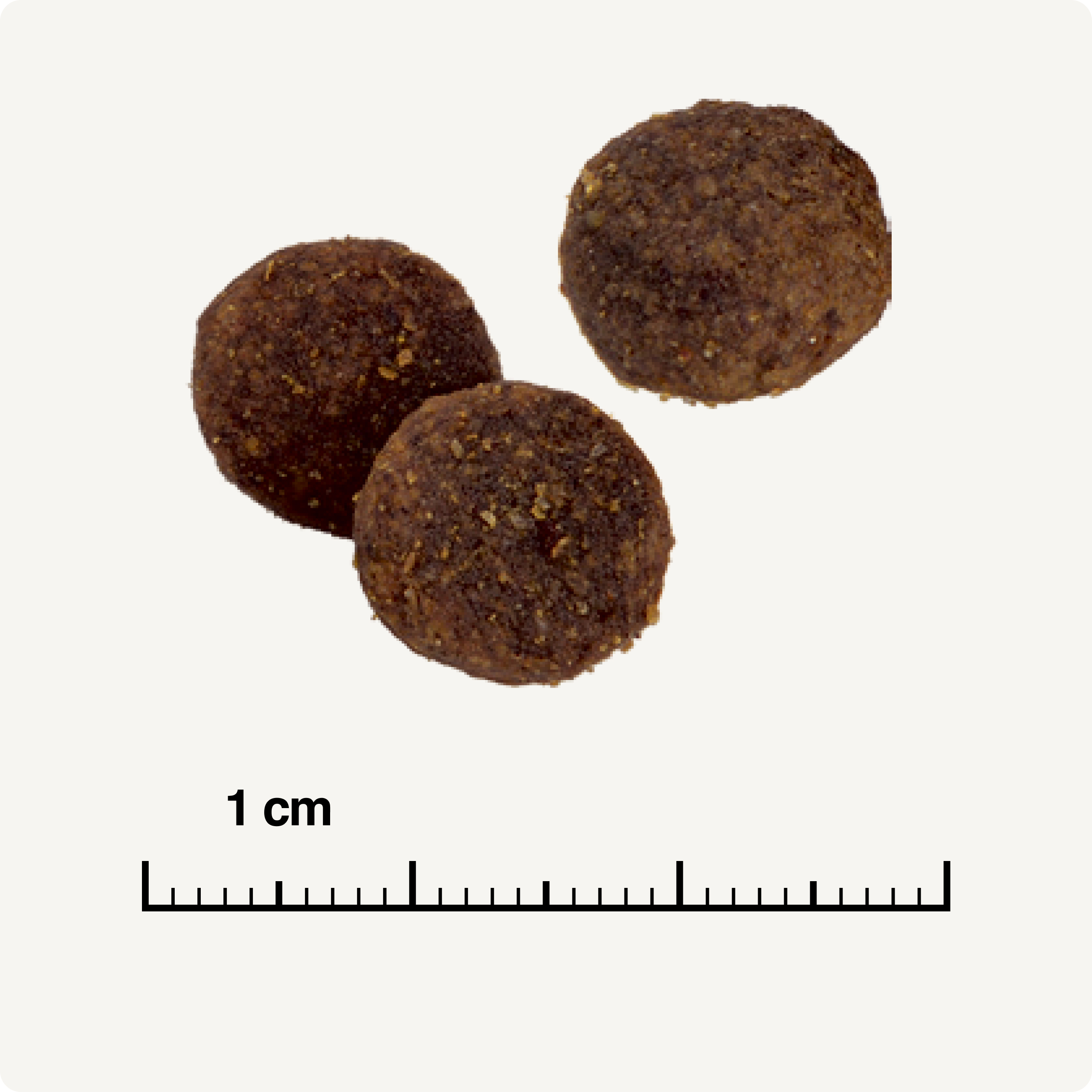 REAL NATURE Hundetrockenfutter REAL NATURE Country Selection Mini Adult Scandinavia 1 kg
