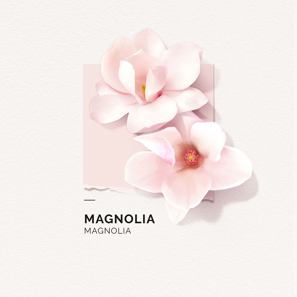 Solinotes Magnolia Brume Parfumée