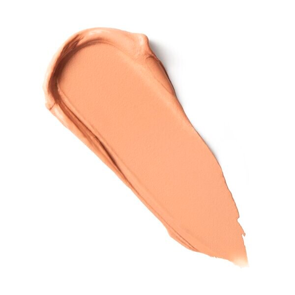 Maybelline New York Lifter Stix 20 meikkipuikko