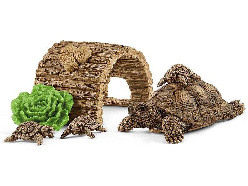 Maison pour tortues