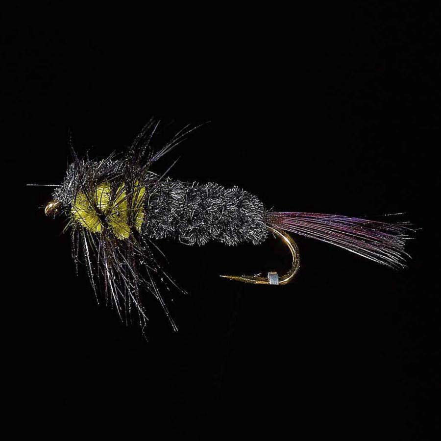 Montana Fly JMC ST 31 H10 (x3)