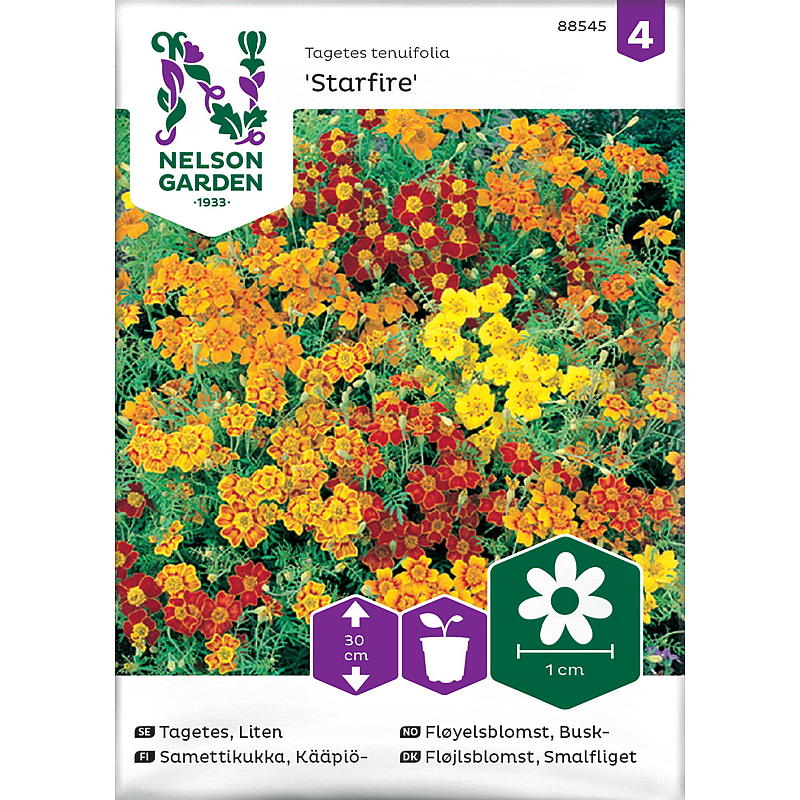 Nelson garden Frø Fløyelsblomst Busk-, Starfire mixed