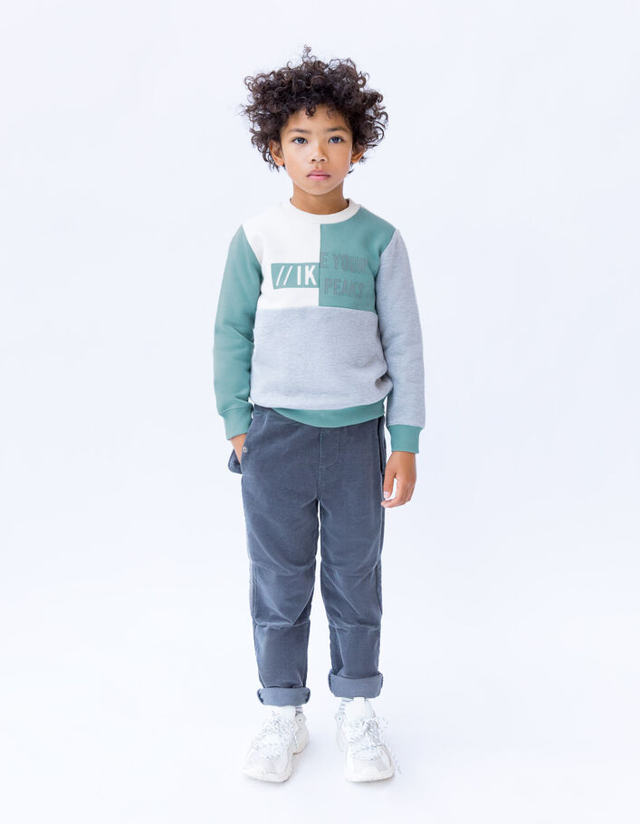 Sweat gris, vert, écru visuels en gomme garçon