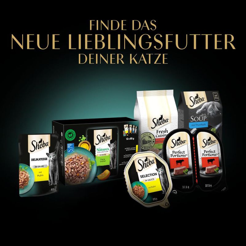 Sheba Fresh Cuisine Taste of Paris Rind & Weißfisch
