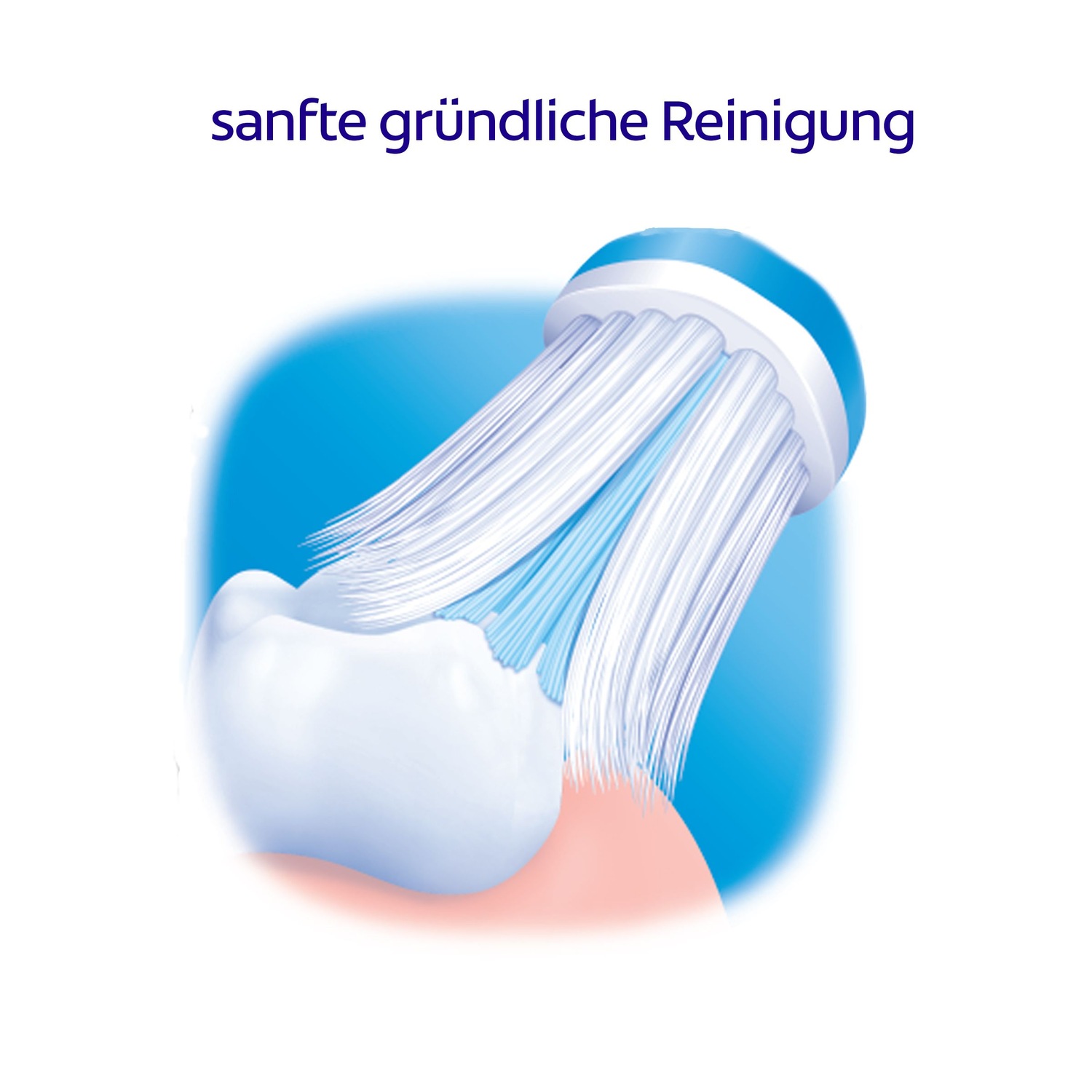 Zahnbürste mittel