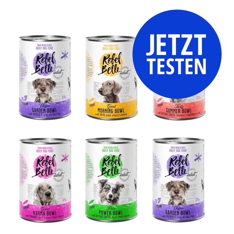 6 x 375 g Rebel Belle Adult Probiermix zu TOP-Preisen